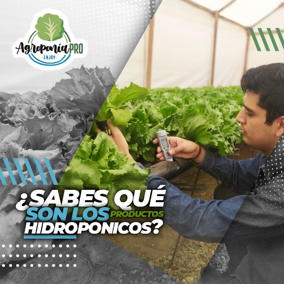 agroproducto